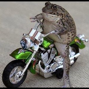 Meet your Posher, Gio